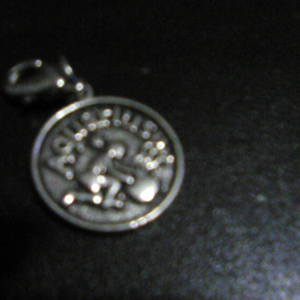 Zodiac sign charm